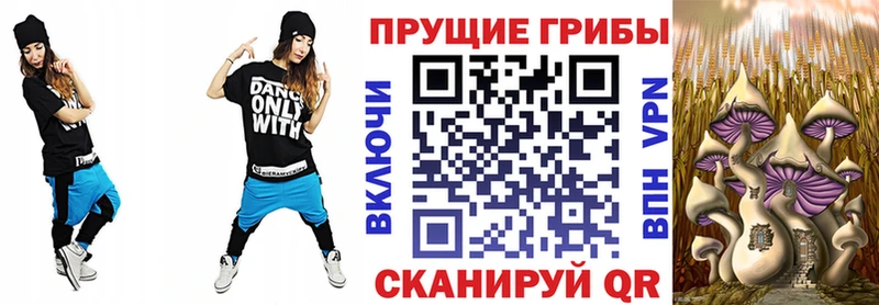Галлюциногенные грибы GOLDEN TEACHER  Купить  Белорецк 